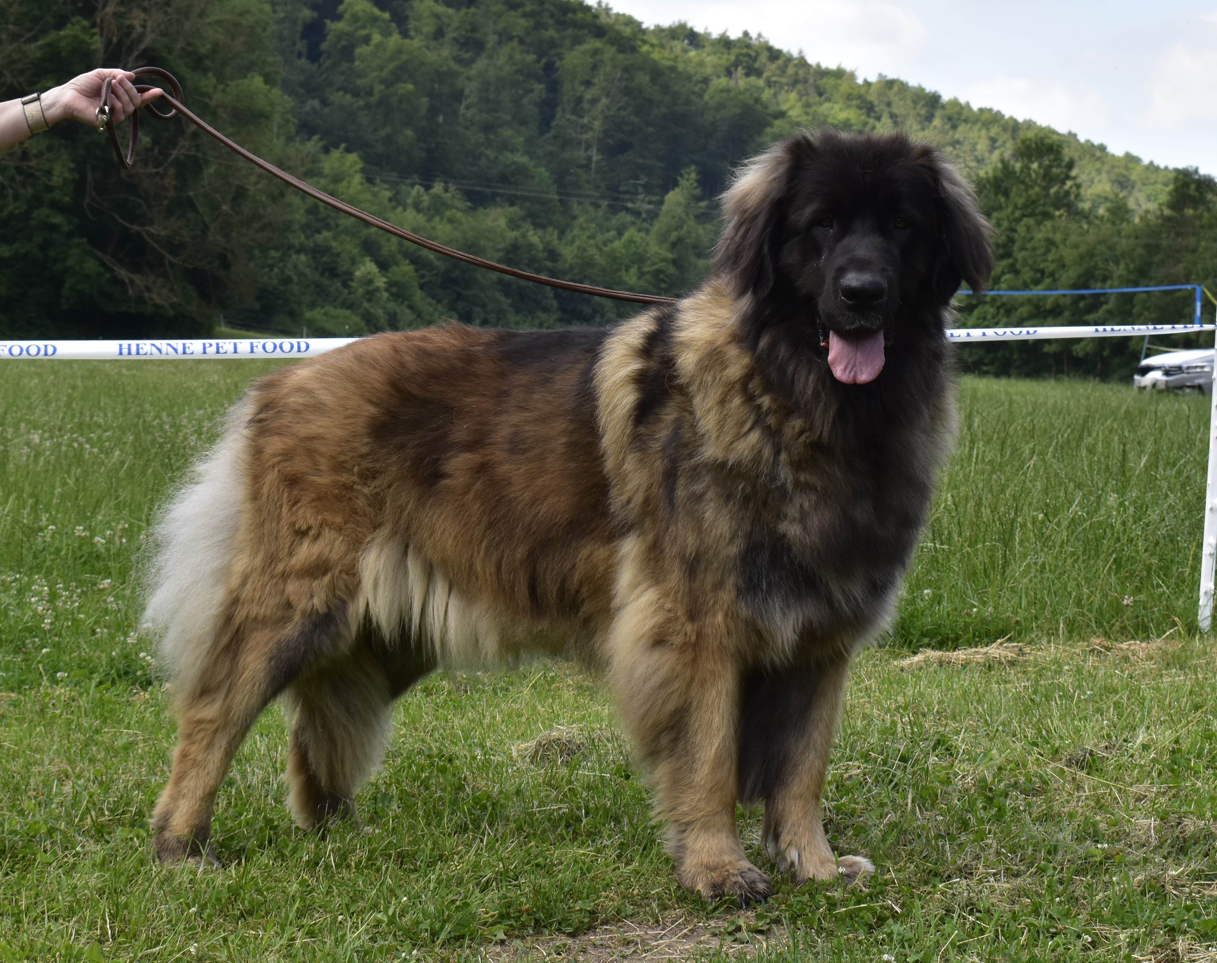 Sarih Lowe von Gut Eiferslohn